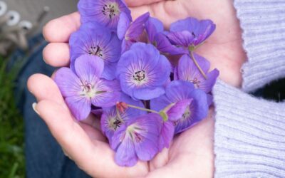 Schrijven vanuit je gevoel én hoog in Google komen: hoe werkt dat?