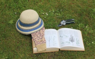 Meer klanten op je website via Google? Zet de snoeischaar in je content